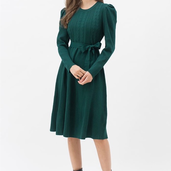 HOST PICK⭐️BRAID KNIT GIGOT SLEEVE MIDI DRESS IN DARK GREEN - Picture 11 of 11
